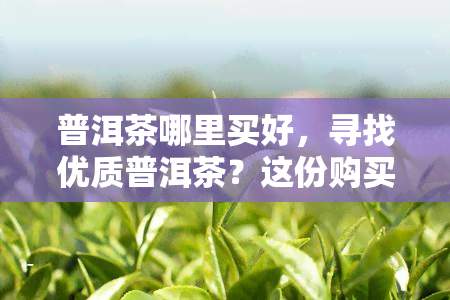 普洱茶哪里买好，寻找优质普洱茶？这份购买指南带你找到购买地！