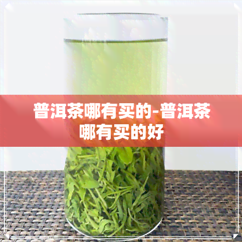 普洱茶哪有买的-普洱茶哪有买的好