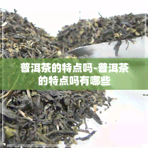 普洱茶的特点吗-普洱茶的特点吗有哪些