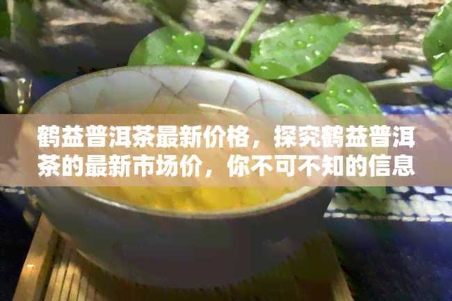 鹤益普洱茶最新价格，探究鹤益普洱茶的最新市场价，你不可不知的信息！