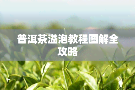 普洱茶溢泡教程图解全攻略