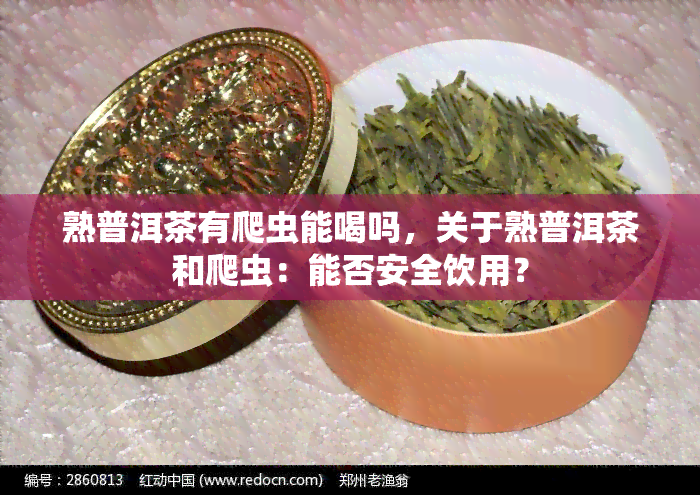 熟普洱茶有爬虫能喝吗，关于熟普洱茶和爬虫：能否安全饮用？