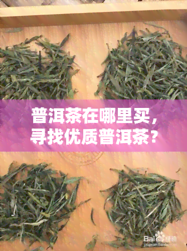 普洱茶在哪里买，寻找优质普洱茶？这里告诉你哪里可以买到！