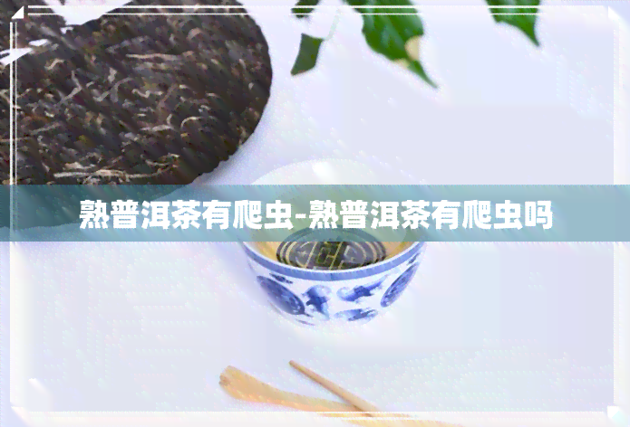 熟普洱茶有爬虫-熟普洱茶有爬虫吗