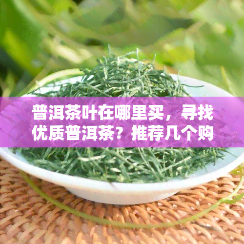 普洱茶叶在哪里买，寻找优质普洱茶？推荐几个购买渠道！