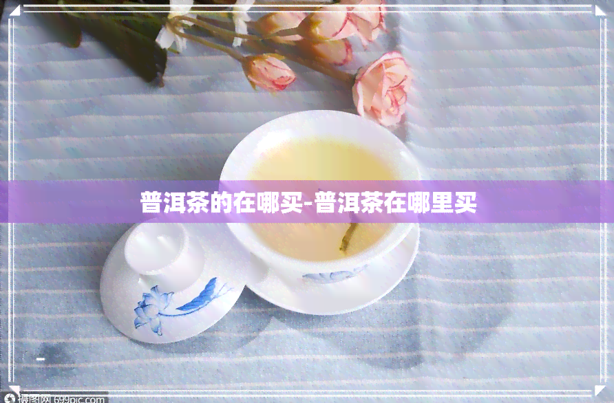 普洱茶的在哪买-普洱茶在哪里买