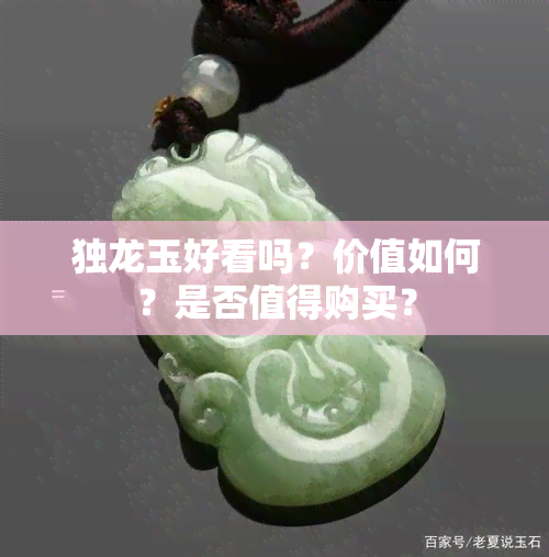 独龙玉好看吗？价值如何？是否值得购买？