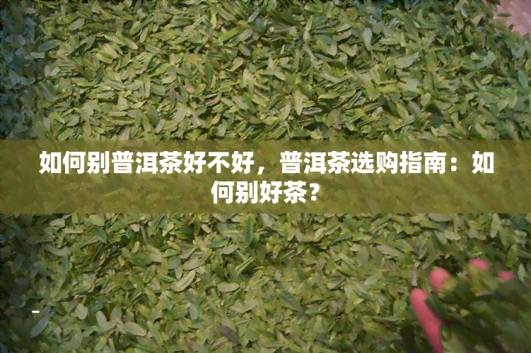 如何别普洱茶好不好，普洱茶选购指南：如何别好茶？