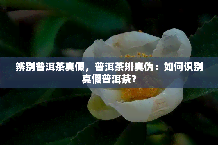 辨别普洱茶真假，普洱茶辨真伪：如何识别真假普洱茶？