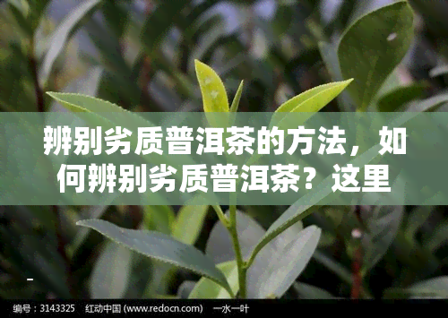 辨别劣质普洱茶的方法，如何辨别劣质普洱茶？这里有5个方法