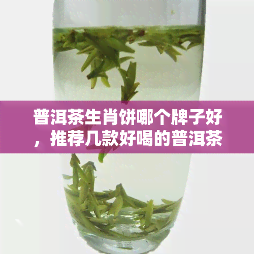 普洱茶生肖饼哪个牌子好，推荐几款好喝的普洱茶生肖饼