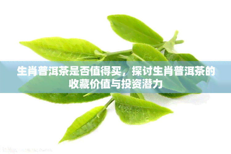 生肖普洱茶是否值得买，探讨生肖普洱茶的收藏价值与投资潜力