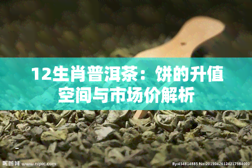 12生肖普洱茶：饼的升值空间与市场价解析