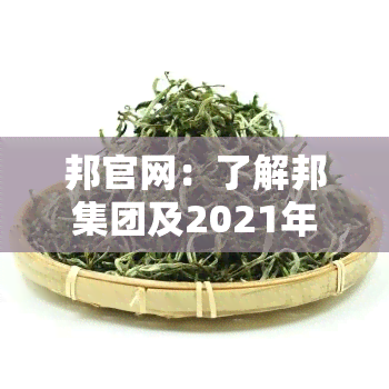 邦官网：了解邦集团及2021年最新动态