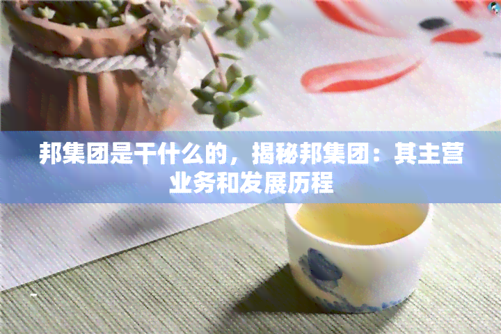 邦集团是干什么的，揭秘邦集团：其主营业务和发展历程