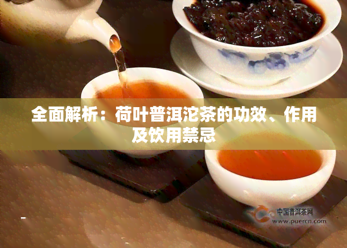 全面解析：荷叶普洱沱茶的功效、作用及饮用禁忌