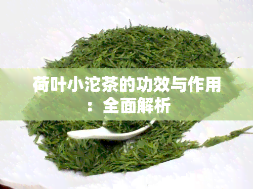 荷叶小沱茶的功效与作用：全面解析