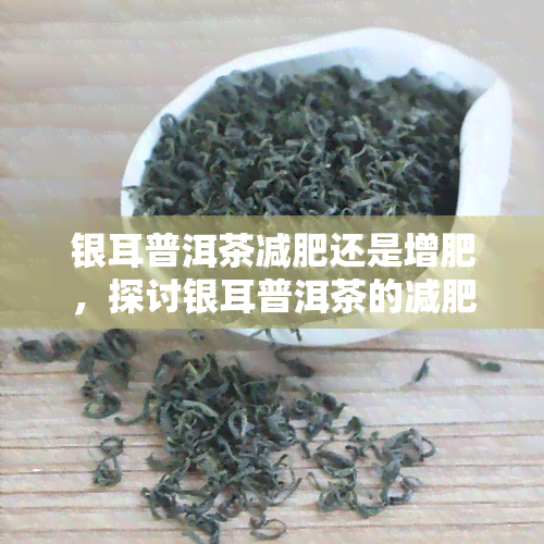 银耳普洱茶减肥还是增肥，探讨银耳普洱茶的减肥效果：是减肥还是增肥？