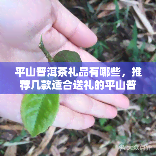 平山普洱茶礼品有哪些，推荐几款适合送礼的平山普洱茶