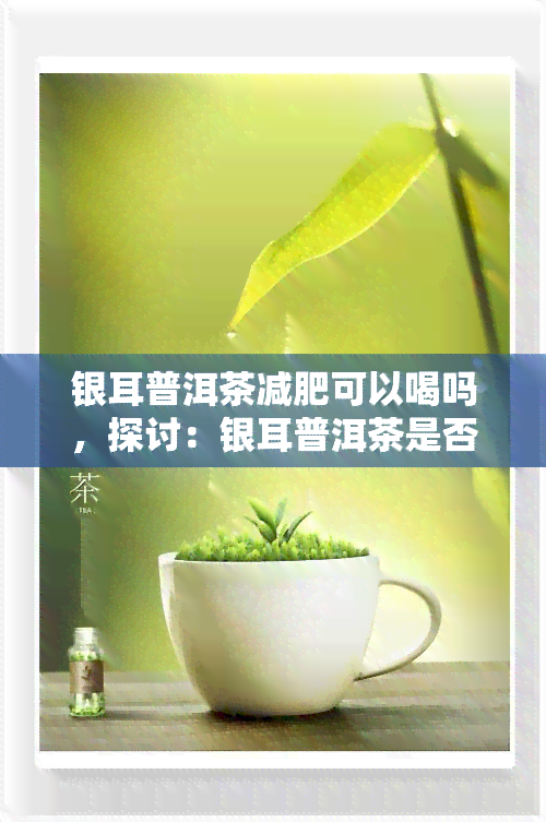 银耳普洱茶减肥可以喝吗，探讨：银耳普洱茶是否有助于减肥？