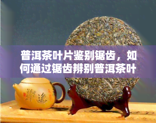 普洱茶叶片鉴别锯齿，如何通过锯齿辨别普洱茶叶片的真伪？