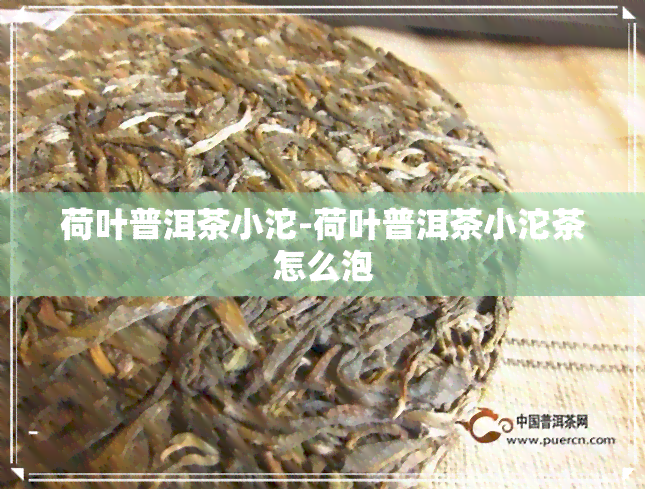 荷叶普洱茶小沱-荷叶普洱茶小沱茶怎么泡