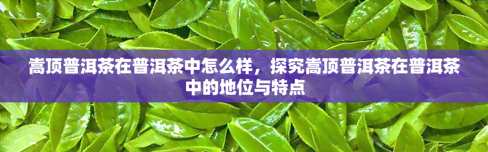 嵩顶普洱茶在普洱茶中怎么样，探究嵩顶普洱茶在普洱茶中的地位与特点