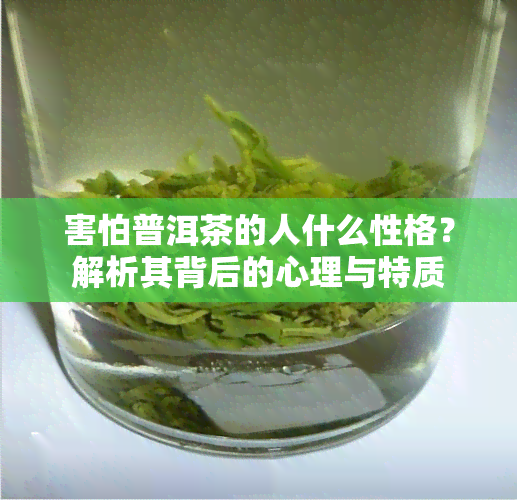 害怕普洱茶的人什么性格？解析其背后的心理与特质