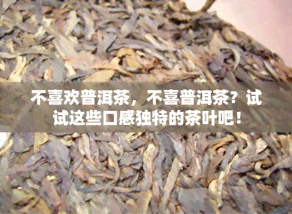 不喜欢普洱茶，不喜普洱茶？试试这些口感独特的茶叶吧！