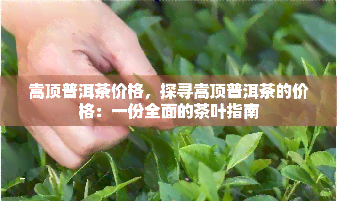 嵩顶普洱茶价格，探寻嵩顶普洱茶的价格：一份全面的茶叶指南