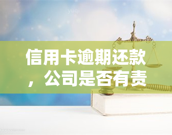 信用卡逾期还款，公司是否有责任？——知乎讨论及解决方案