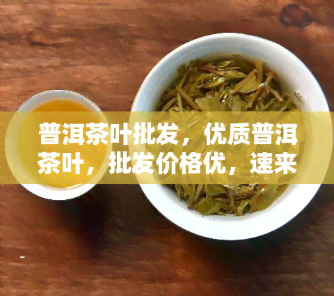 普洱茶叶批发，优质普洱茶叶，批发价格优，速来选购！