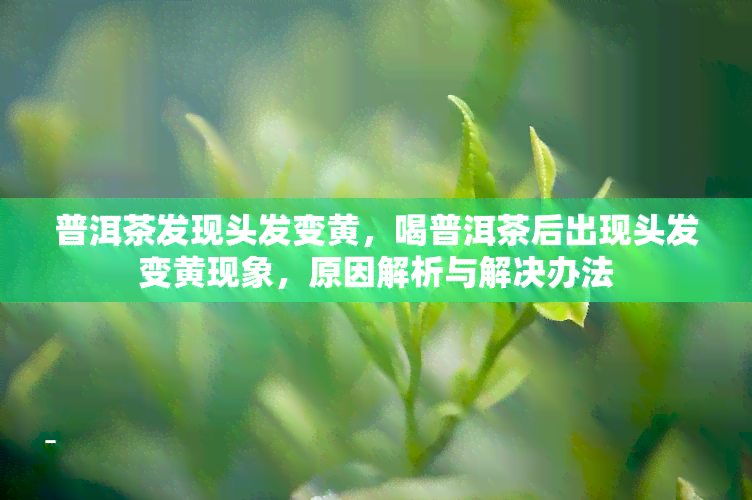 普洱茶发现头发变黄，喝普洱茶后出现头发变黄现象，原因解析与解决办法