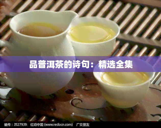 品普洱茶的诗句：精选全集