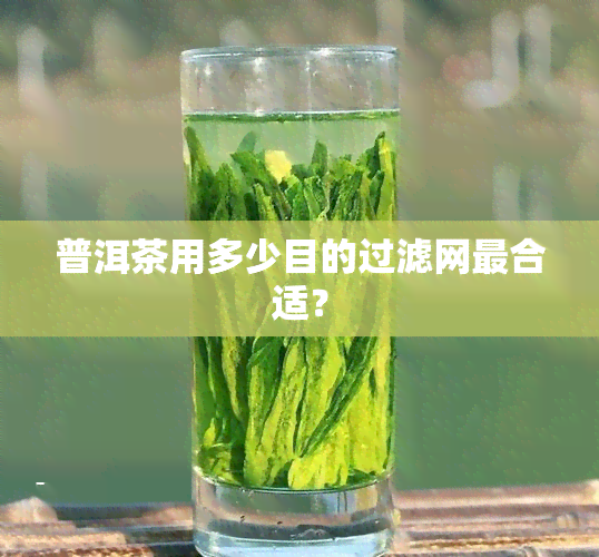 普洱茶用多少目的过滤网最合适？