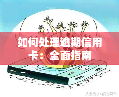 如何处理逾期信用卡：全面指南