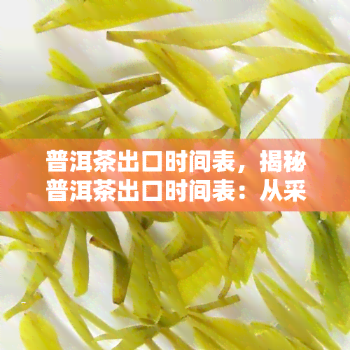 普洱茶出口时间表，揭秘普洱茶出口时间表：从采摘到出口的全过程解析