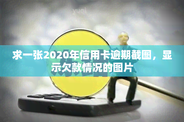 求一张2020年信用卡逾期截图，显示欠款情况的图片