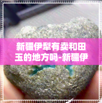 新疆伊犁有卖和田玉的地方吗-新疆伊犁有卖和田玉的地方吗多少钱