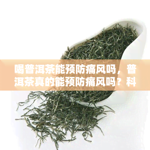 喝普洱茶能预防痛风吗，普洱茶真的能预防痛风吗？科学解析与实证研究