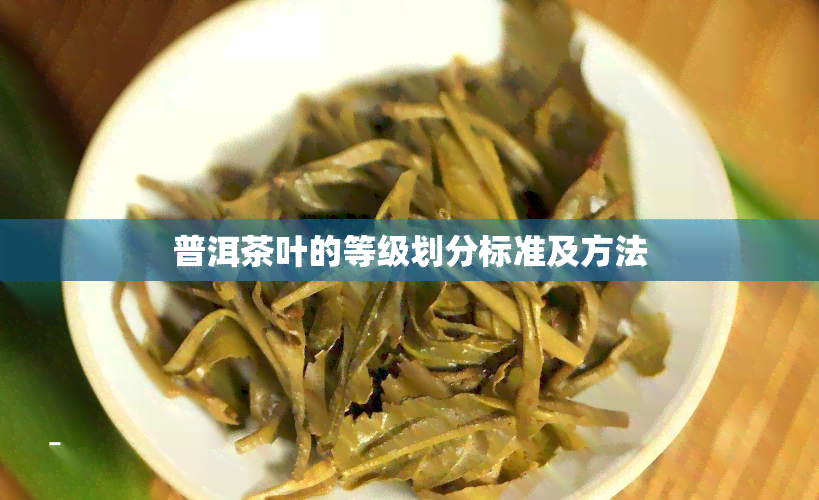 普洱茶叶的等级划分标准及方法