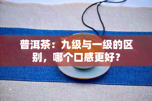 普洱茶：九级与一级的区别，哪个口感更好？