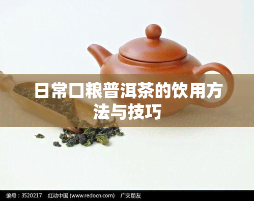 日常口粮普洱茶的饮用方法与技巧