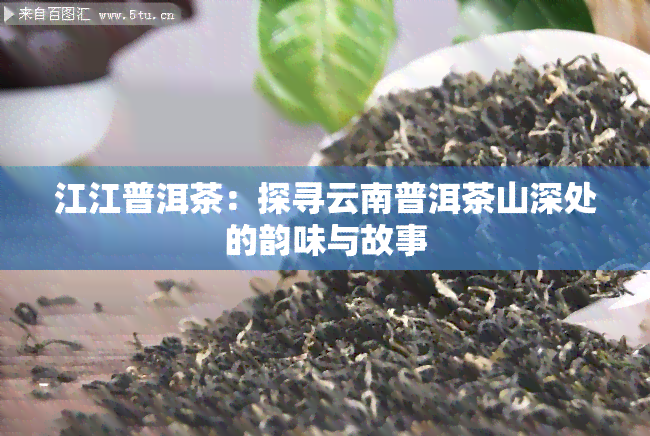 江江普洱茶：探寻云南普洱茶山深处的韵味与故事