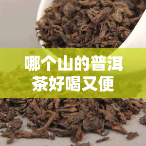 哪个山的普洱茶好喝又便宜？寻找之选！