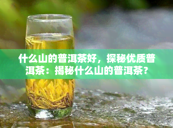 什么山的普洱茶好，探秘优质普洱茶：揭秘什么山的普洱茶？