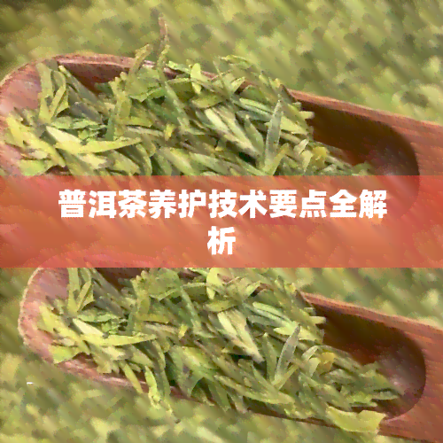 普洱茶养护技术要点全解析