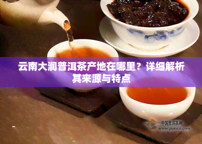 云南大润普洱茶产地在哪里？详细解析其来源与特点