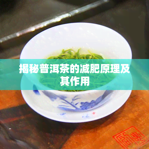 揭秘普洱茶的减肥原理及其作用