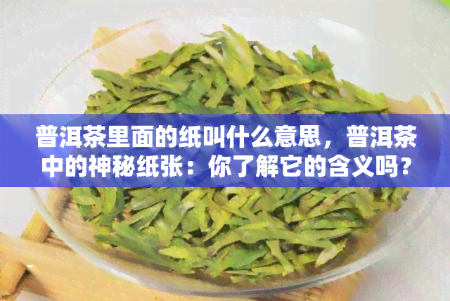 普洱茶里面的纸叫什么意思，普洱茶中的神秘纸张：你了解它的含义吗？